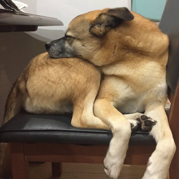 44ed36ee a8e6 4452 b877 acbc28726097