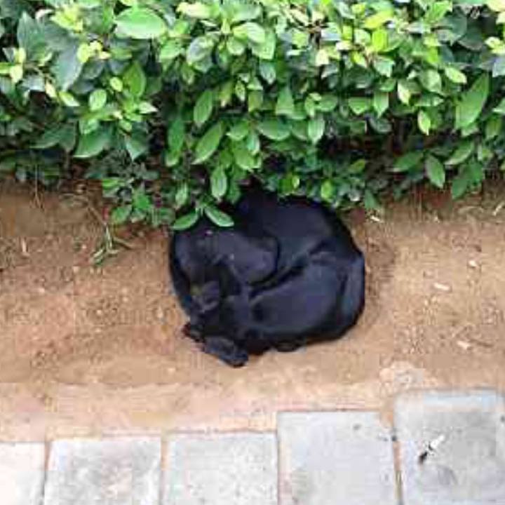 44ee2543 b912 49ca bce3 000a5a4a2eef