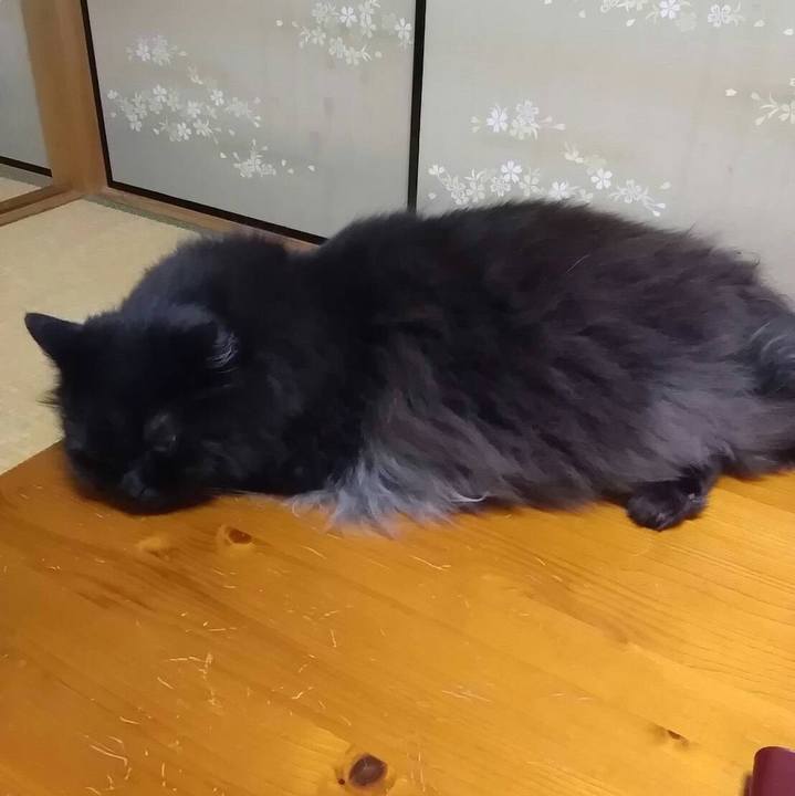 44eeb05e 4653 4218 b2a9 1debaf7e96e3