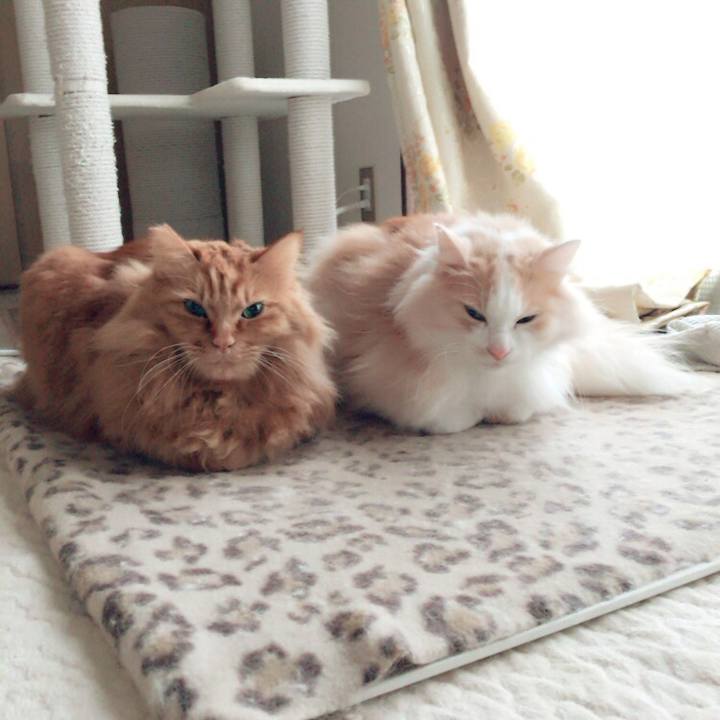 44ef670d 50f6 44d2 822f 8a159fc50395