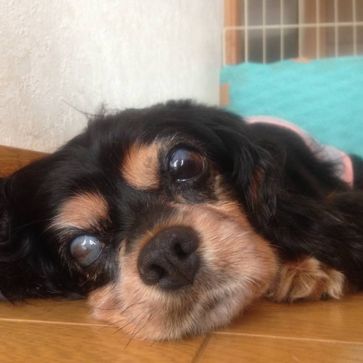 44efb4b6 6ffb 4475 9a66 83cf43166a04