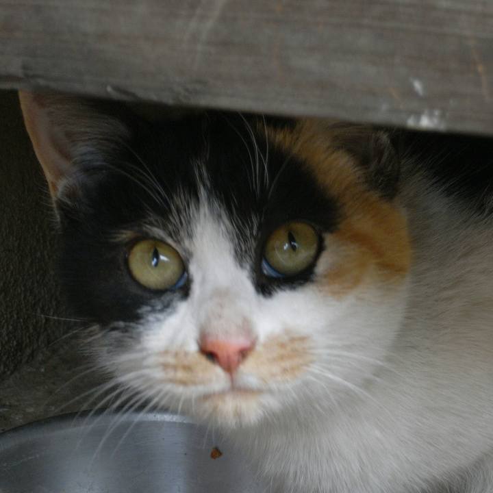 44f19cc0 a52a 47c8 a2be d9a0afc6fcaf