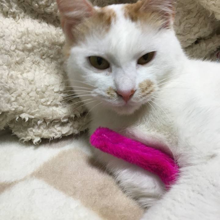 44f1bc19 ac57 4147 a8d1 b86529852ddd