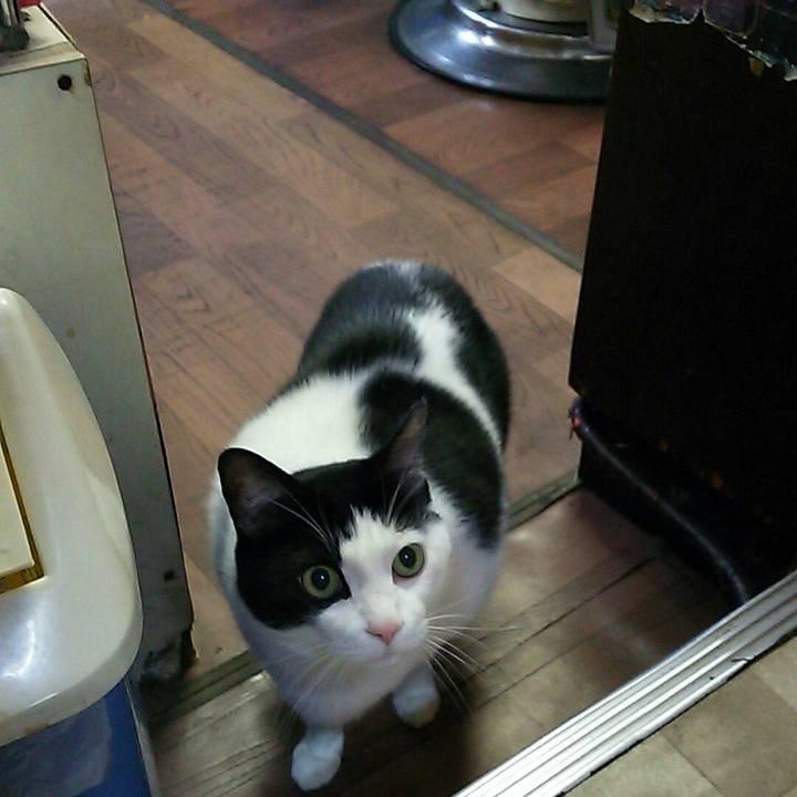 44f206bf 720b 4b3d b870 354996d7bcf7