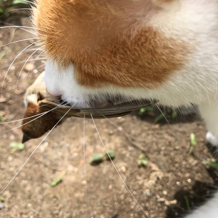 44f227e3 bc5e 4d86 95af 2dce208cc250