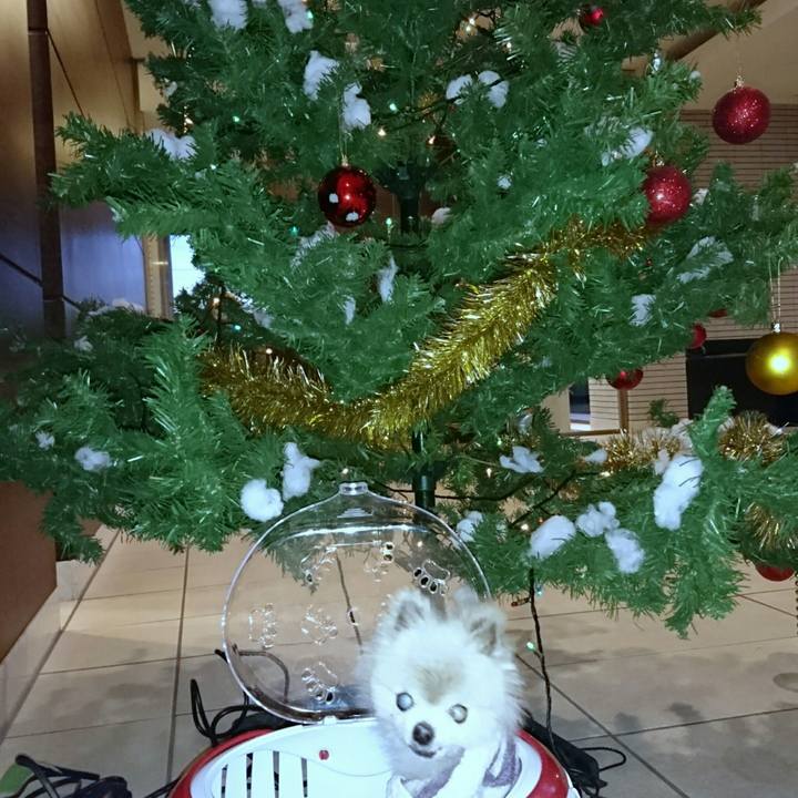 44f22ea6 a41c 4bdc 86f0 f57322fc1720