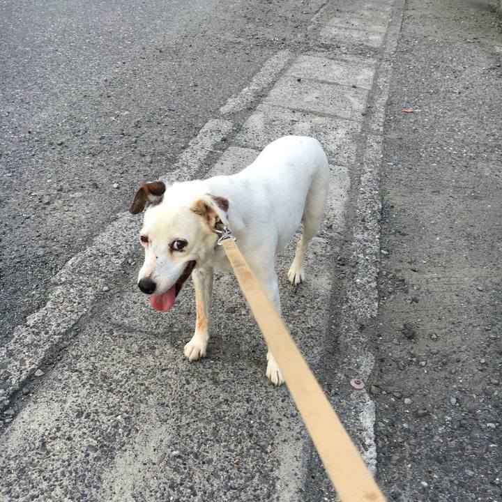 44f2540b 7e5c 416c 8d32 4838ed2135f4