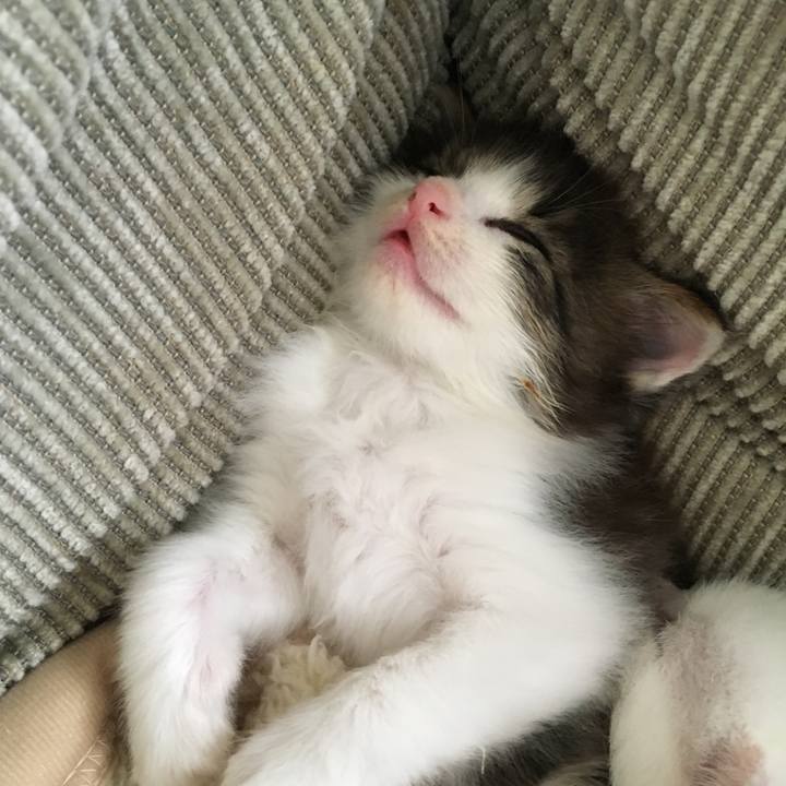 44f262e7 caa9 4c45 b25f 807a434e34d0