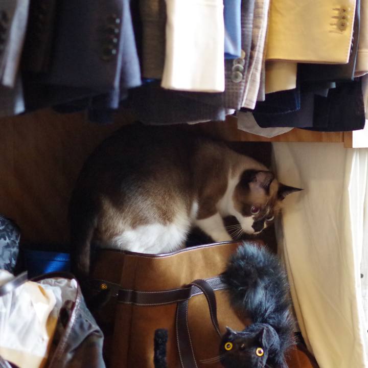 44f26c21 db8c 4eff 8ed9 3ba358780f68