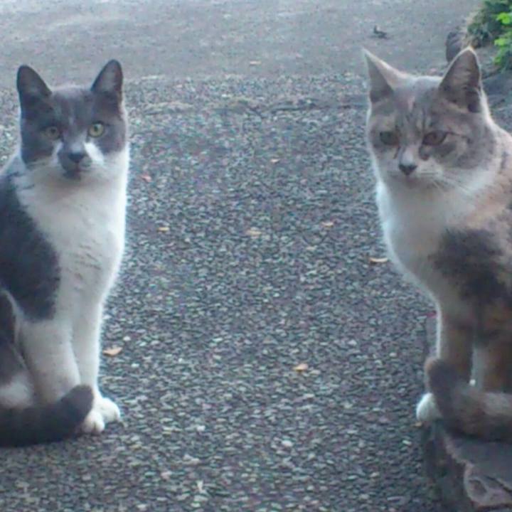 44f2b22f 2fd8 4800 9684 e5d04e98488d