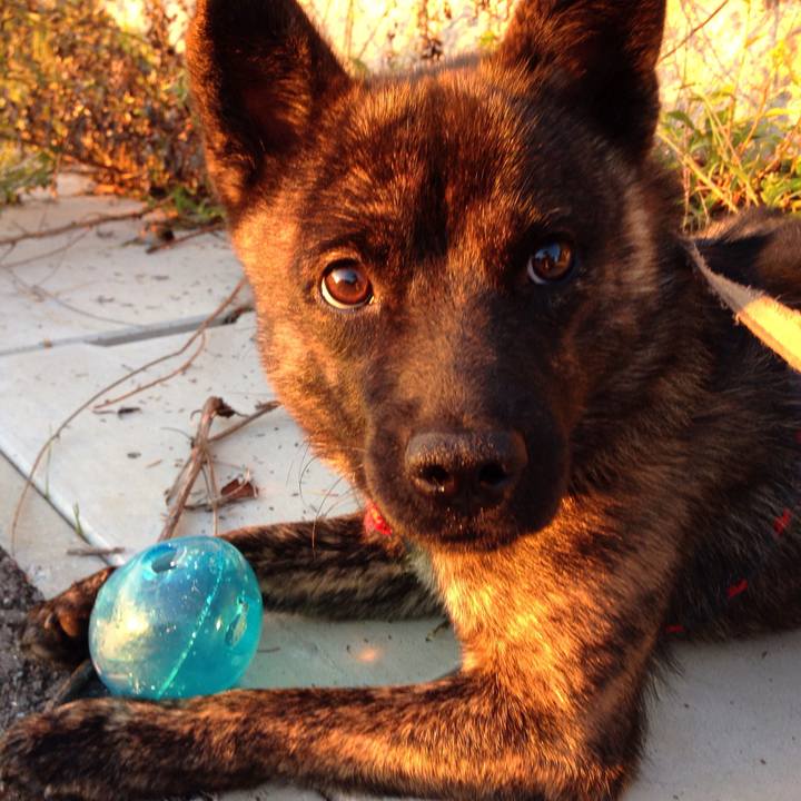 44f2d10e 111e 40d1 b691 8bfd5d9460c5