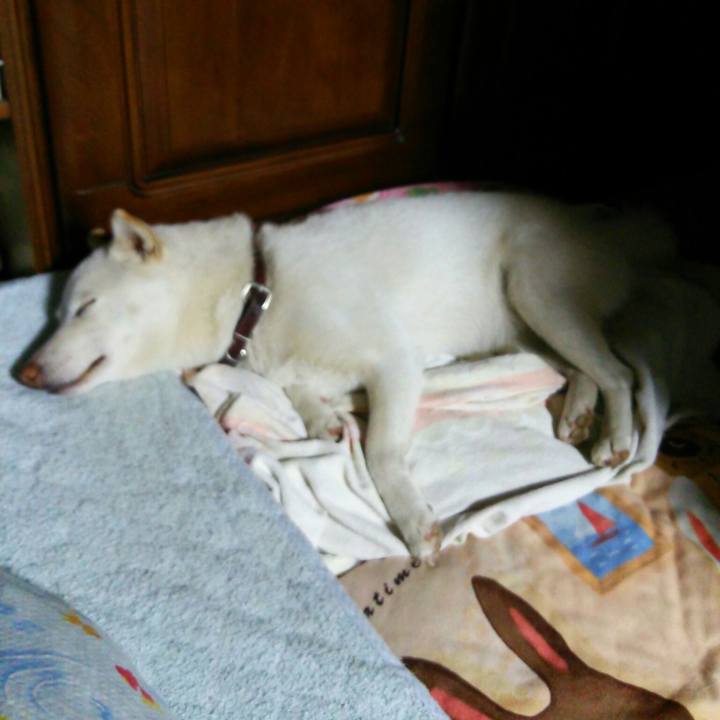 44f31fd9 da7e 4f7b 9fc3 155cb4346e87