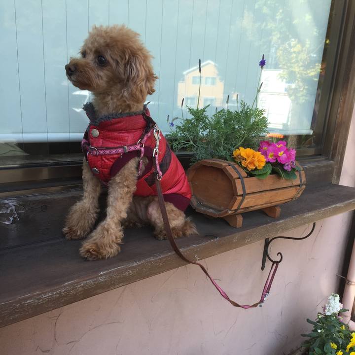 44f3c2a2 a131 4d91 995b c82a578f53a2