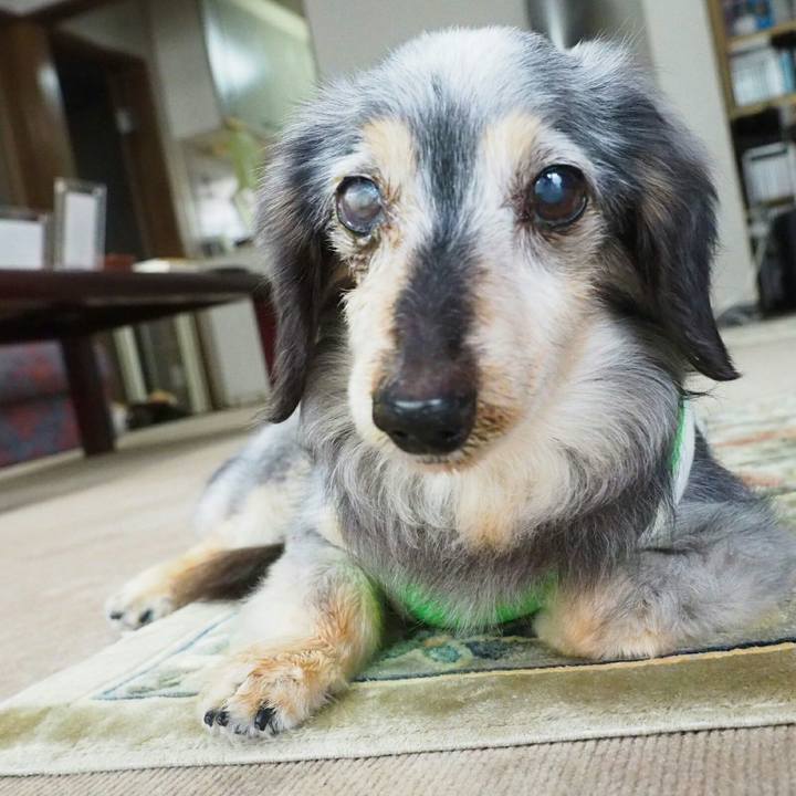 44f41024 efef 4aa1 bc22 3b2135ec806e