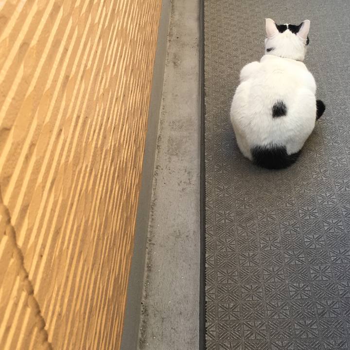 44f41620 0082 4637 ac92 20a0a1807fab