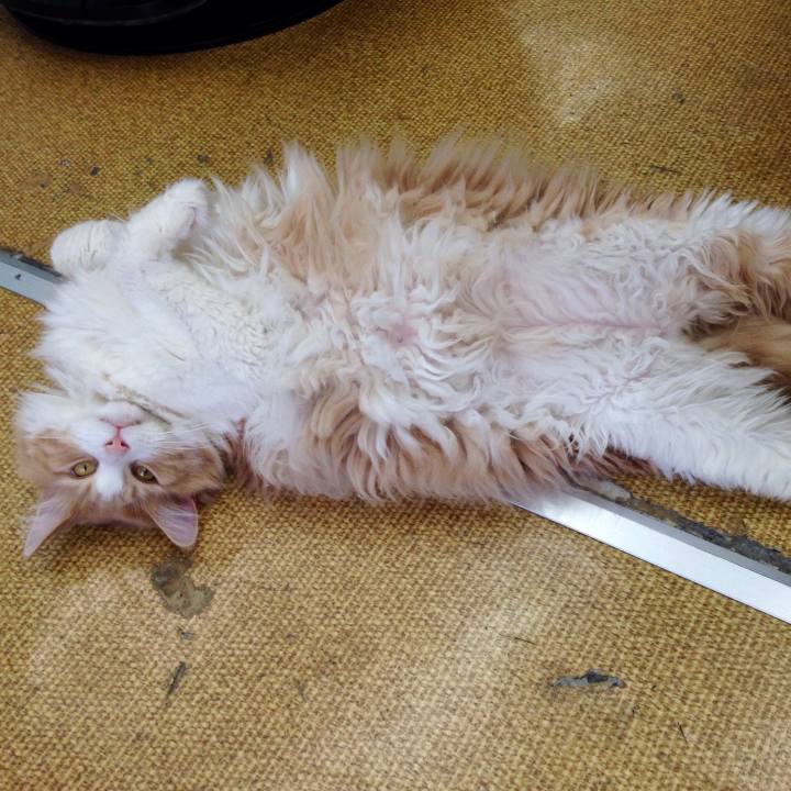 44f50292 1631 4747 a07e bf5878b818b6