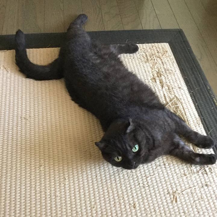 44f586df 580b 4d3f b894 f2394fdb3625