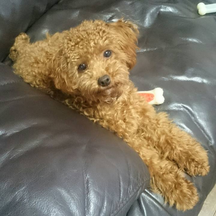 44f58afe 666b 496c 8625 d64db68f5eb2