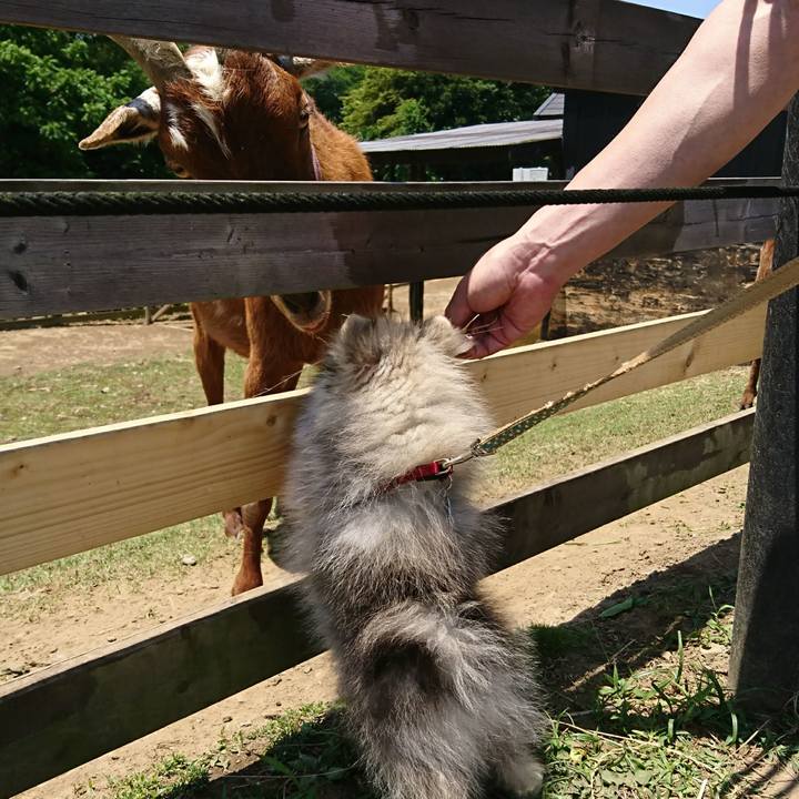 44f5c656 55fd 4acd a44a b36a9ea24c54