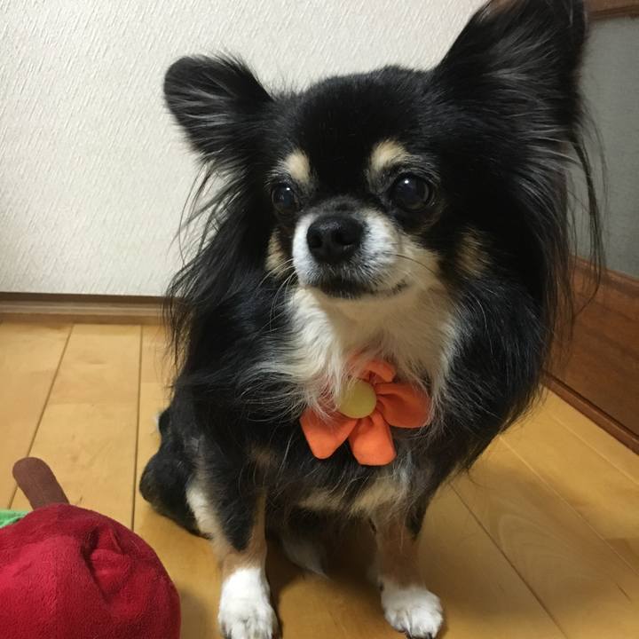 44f70e23 1103 4735 a188 85db93b8fc18