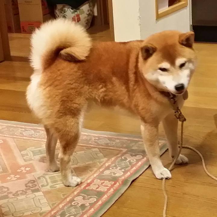 44f71415 24fe 429a b572 b7784547af97