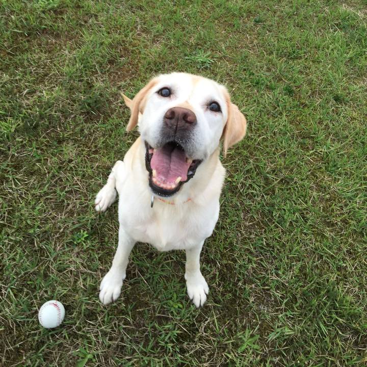 44f7487f 2f79 49be abb8 ee239a246316