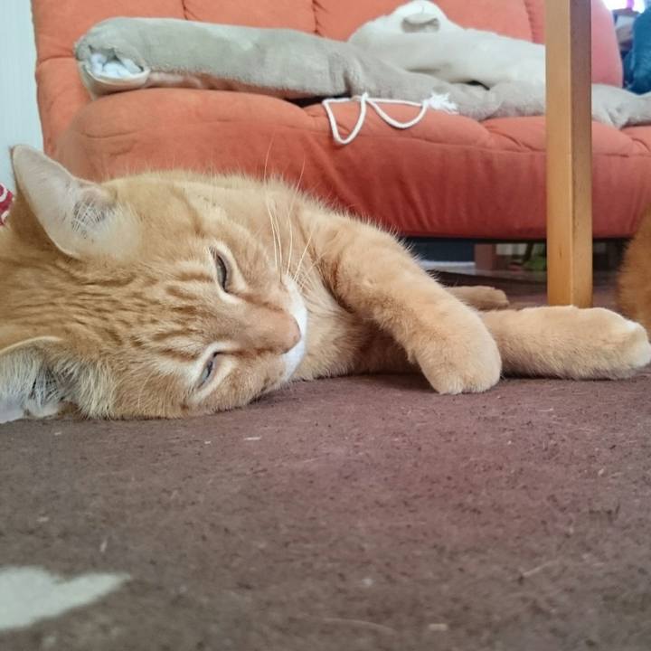 44f87f03 6526 4287 9d4a 88b7ebbda2be