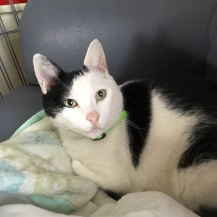 44f89da6 137c 45d5 ad49 fb740f82911e