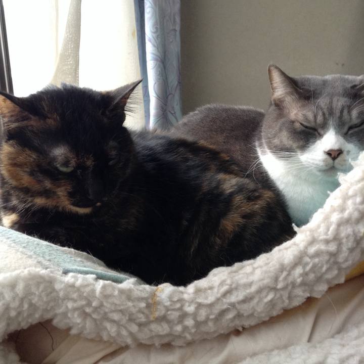 44f8dac7 8114 4e13 909b 9127dda4015d