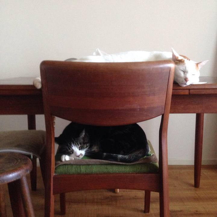 44f9459c 1ed6 448f 94b9 376f6a3bebd1