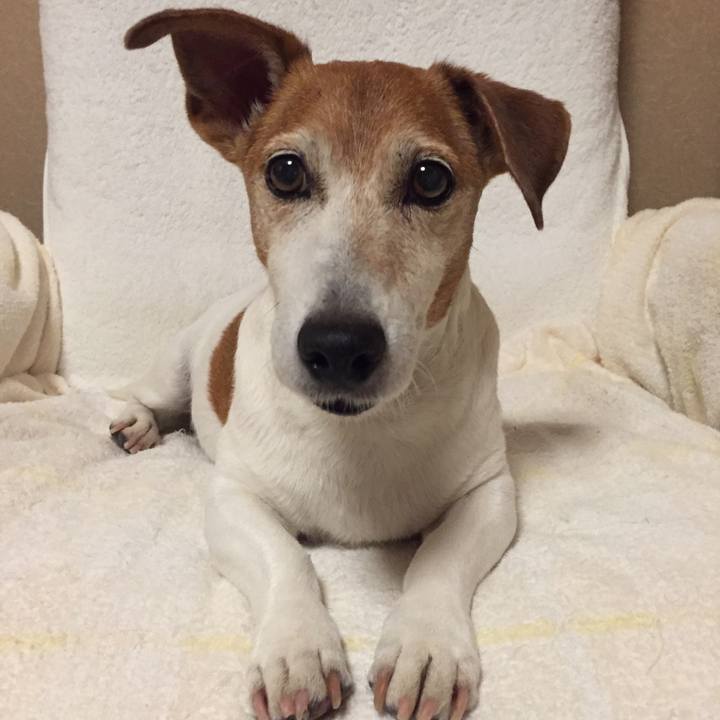 44f997cc b383 47d9 9516 b5962b5eb6cd