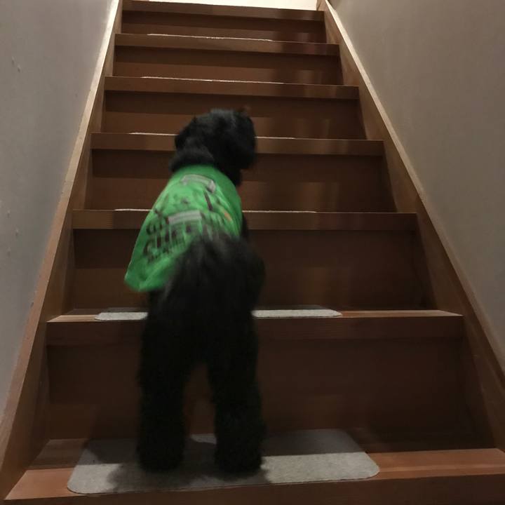 44f9b772 f835 4660 b34a 51ba57d4efce