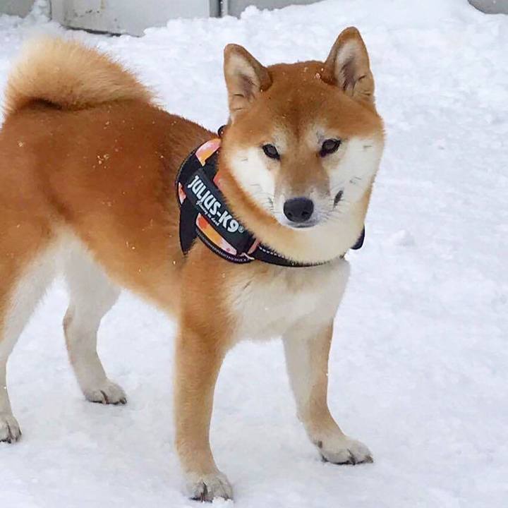 44f9f200 3cae 456d a547 e3093ecc2a3e