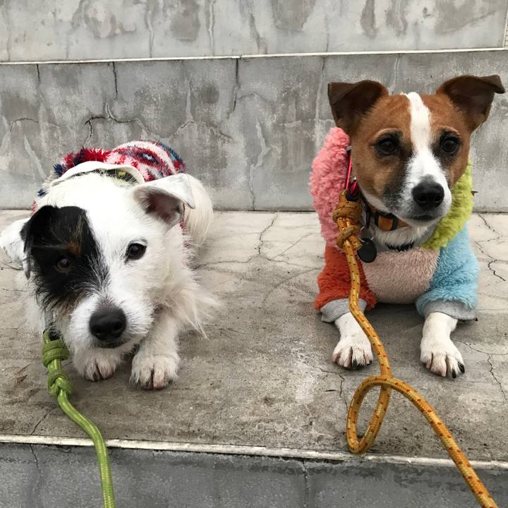 44fab0dc 84c2 49e5 b196 0c59e65f8d11