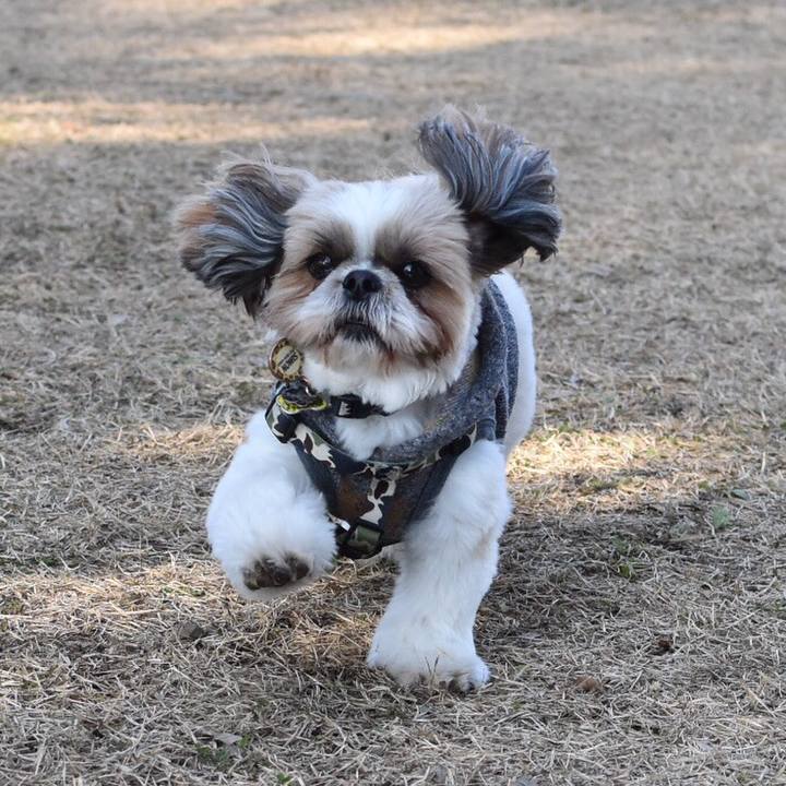 44fb09a2 a6fd 413d aaca 8d79b667e576