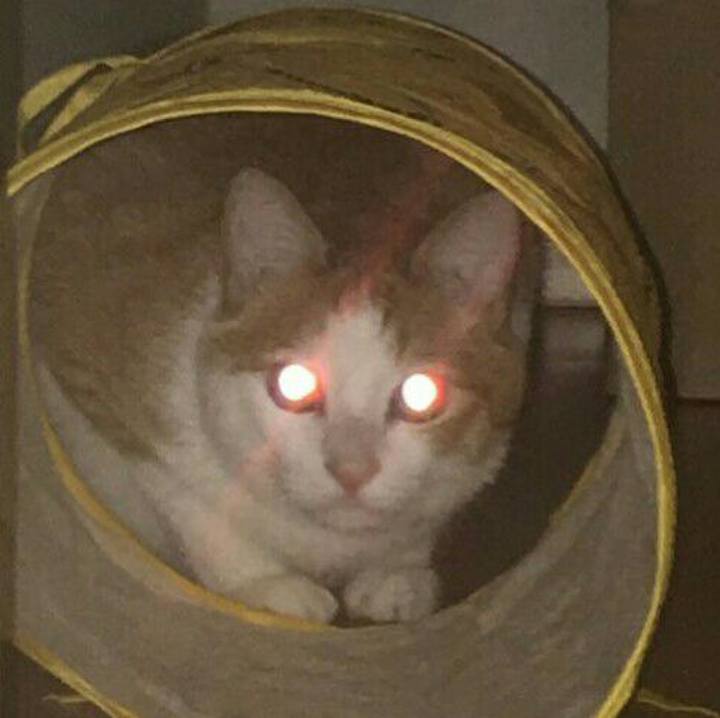 44fbf207 e0c5 421e 9d5b b490e6444600