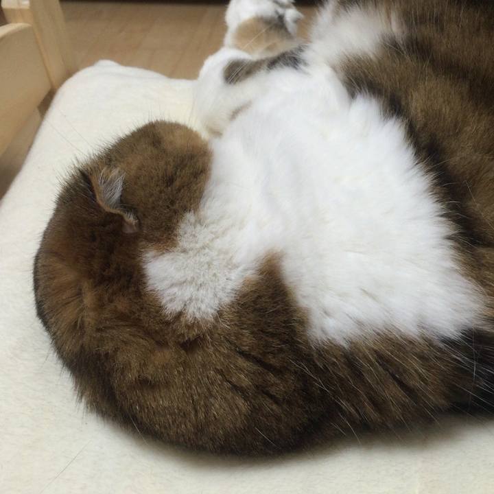 44fc5f21 847f 4360 9d59 f09204829ed5