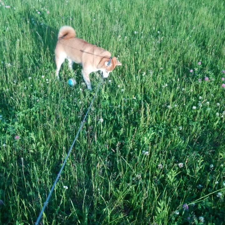 44fc7965 2be2 489e 8fb1 a8b447b1bde7