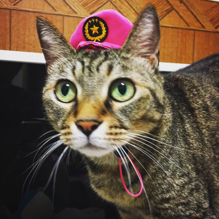 44fcbe42 622e 4708 96cf 863c813dc51d