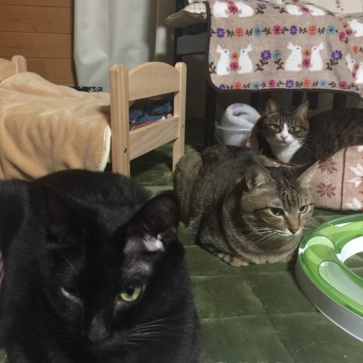 44fcf0a8 e0e8 4cb7 89e5 79115f2f89ed