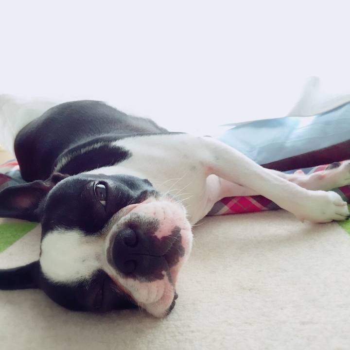 44fda97e d9a5 4c5c a986 5ed0df70b598