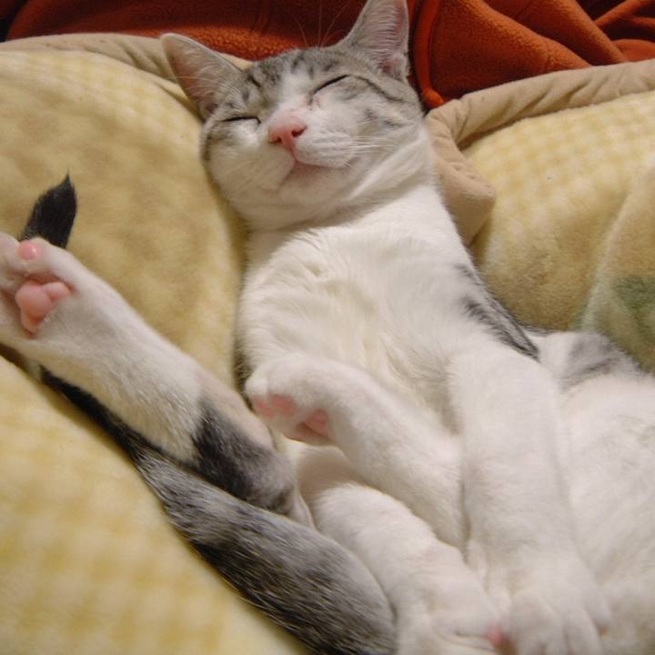 44fdc1c7 87f3 4f23 902d b002d77f7f17