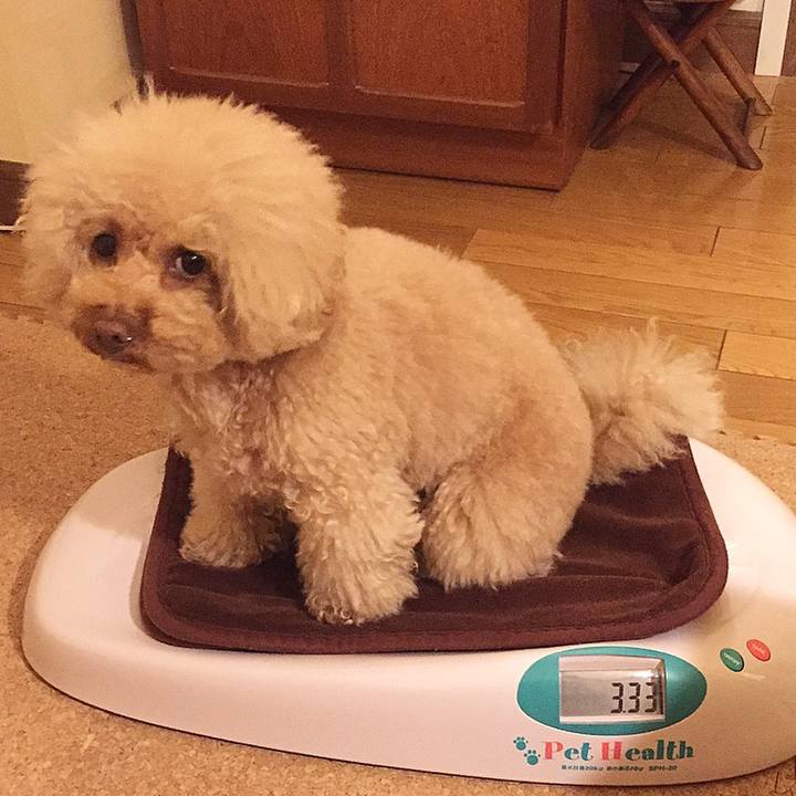 44fe4065 fb54 4a6f 95a9 589176fa6c2f