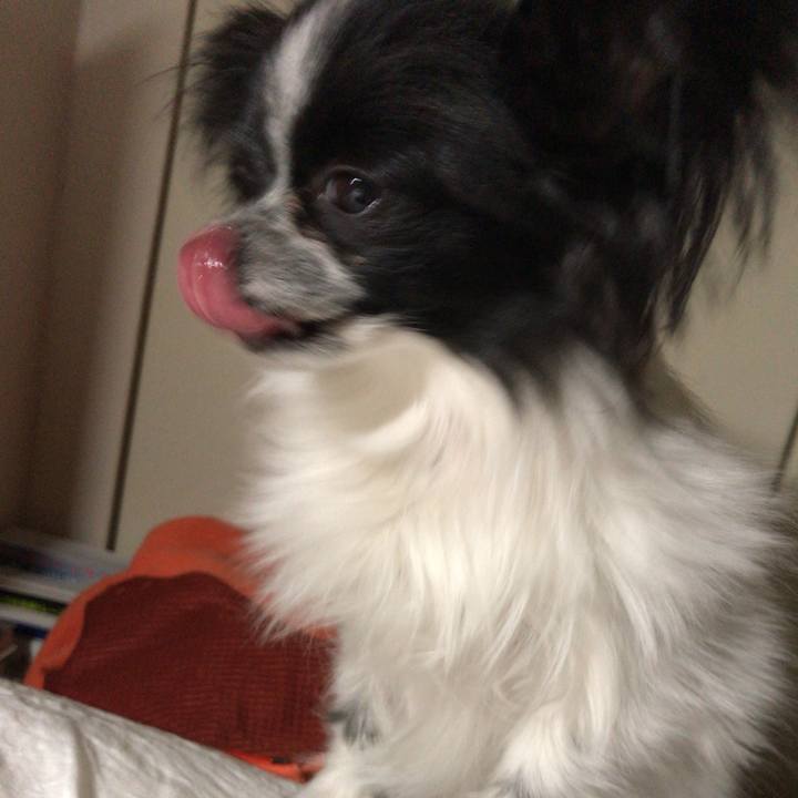 44fff224 ed0e 46f3 9853 5fe12bc6560c