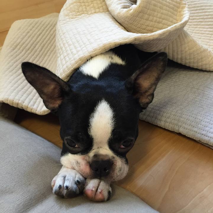 44fffea0 6b25 425d bc21 0415f872e340