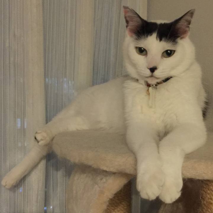 45012335 d3bb 4331 80c3 14d4d313ba97