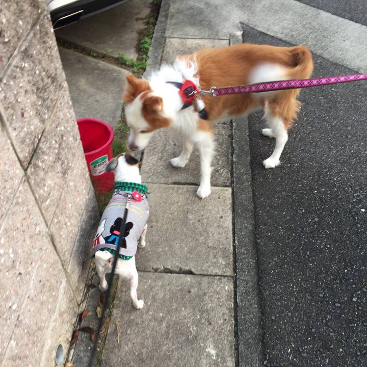 4501e85f 74bf 446d b471 6fe5c3932ab3