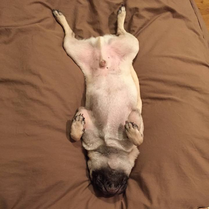 45029733 7766 4efc b0a5 d179dacd0ec3