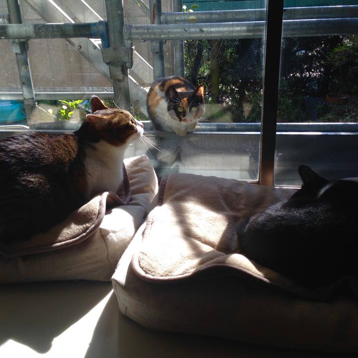 4503616d 09e2 4ab9 8143 579547104104