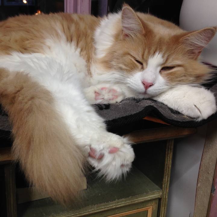 45039b1e ebe1 4fc2 adb9 3d554e037c35